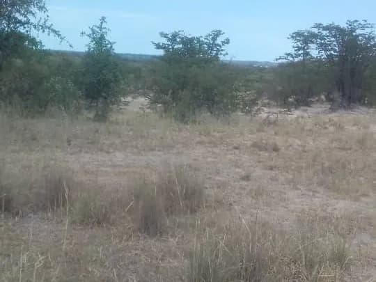 View 3