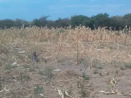 View 14