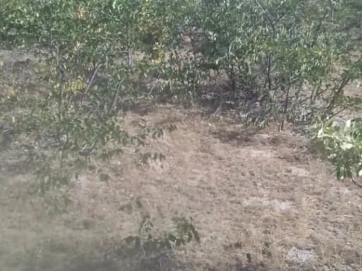 View 13