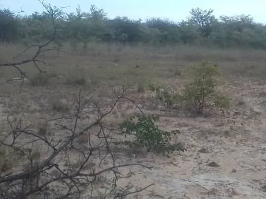 View 17