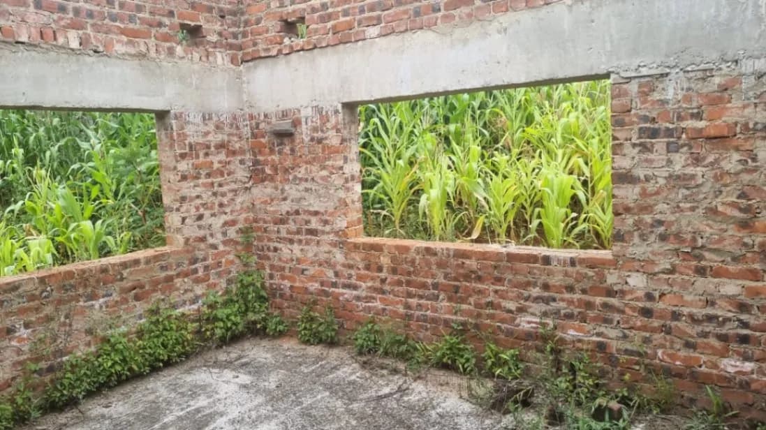 View 6