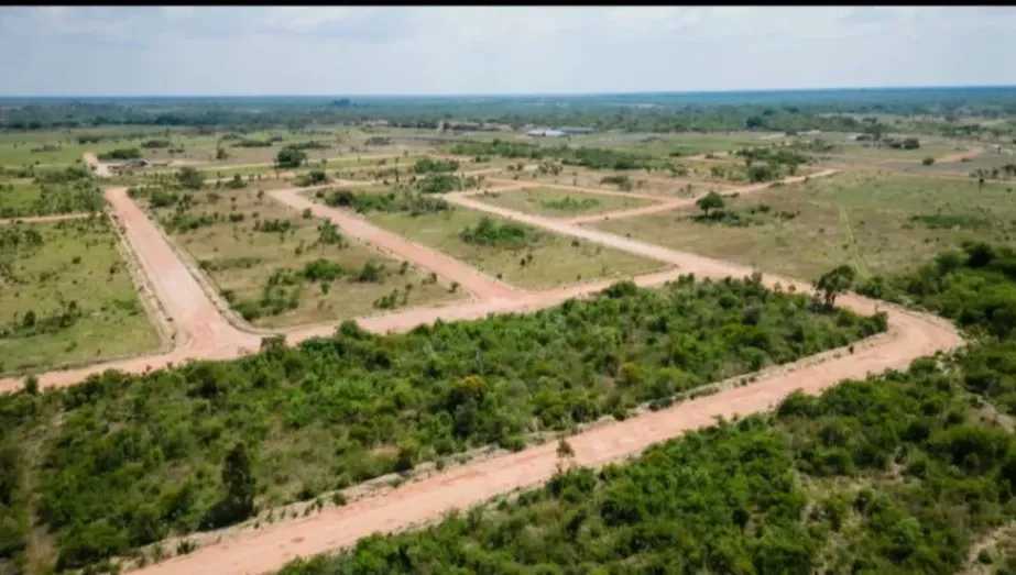 View 11