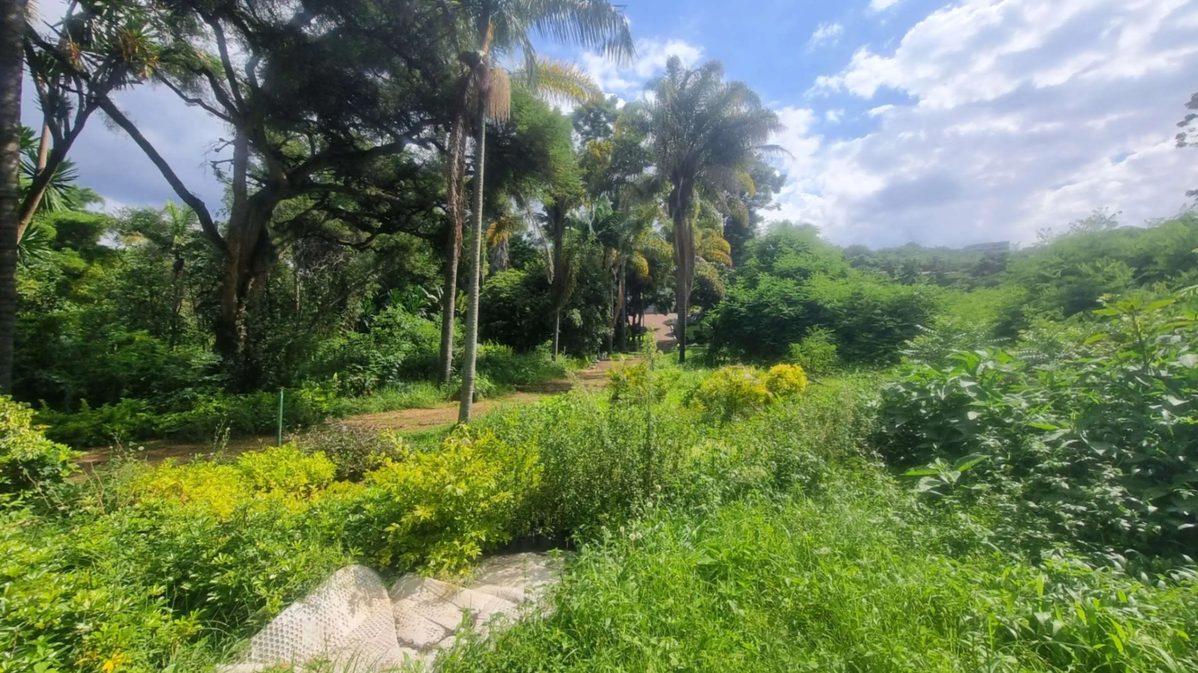 View 7
