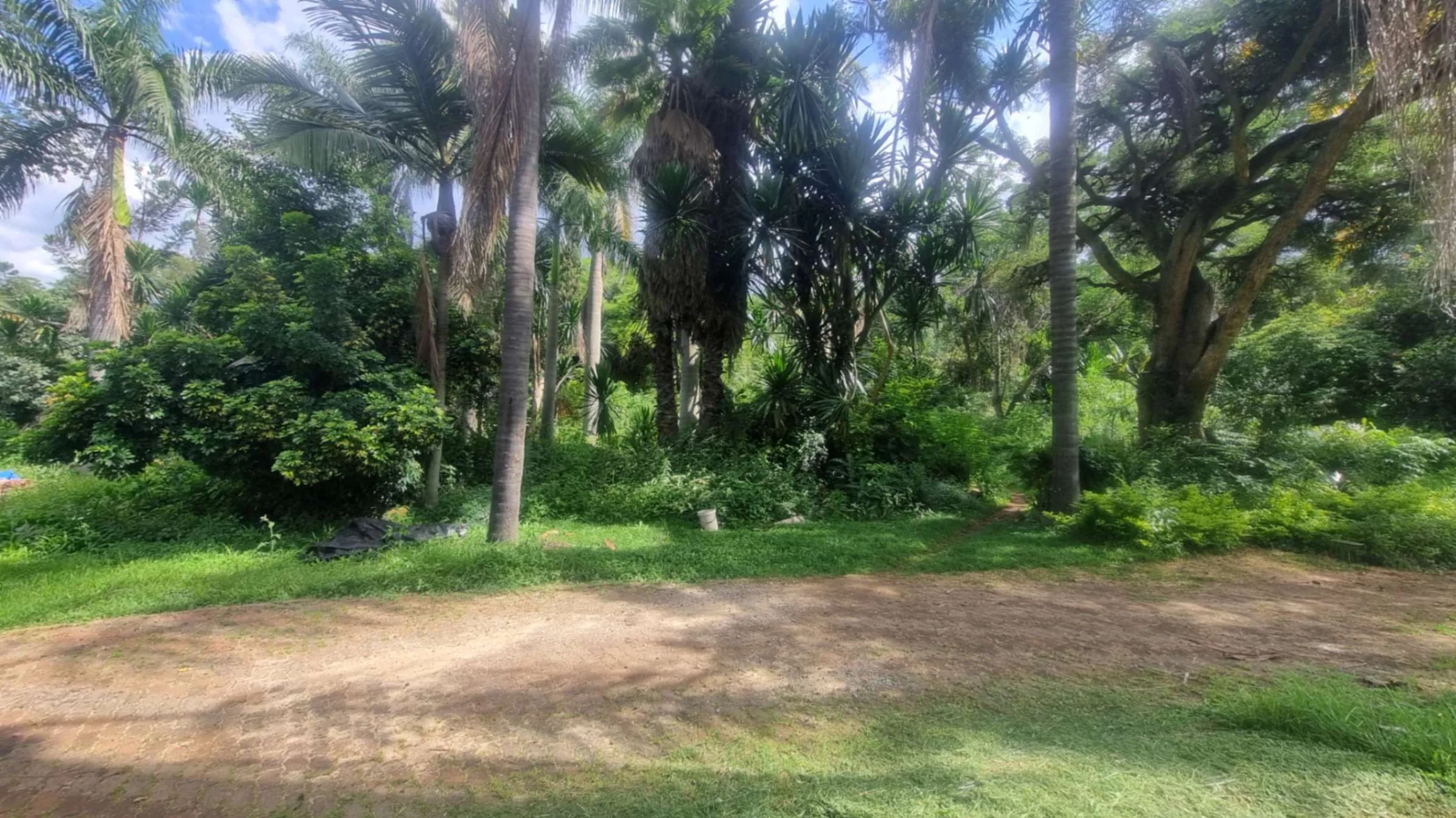View 3