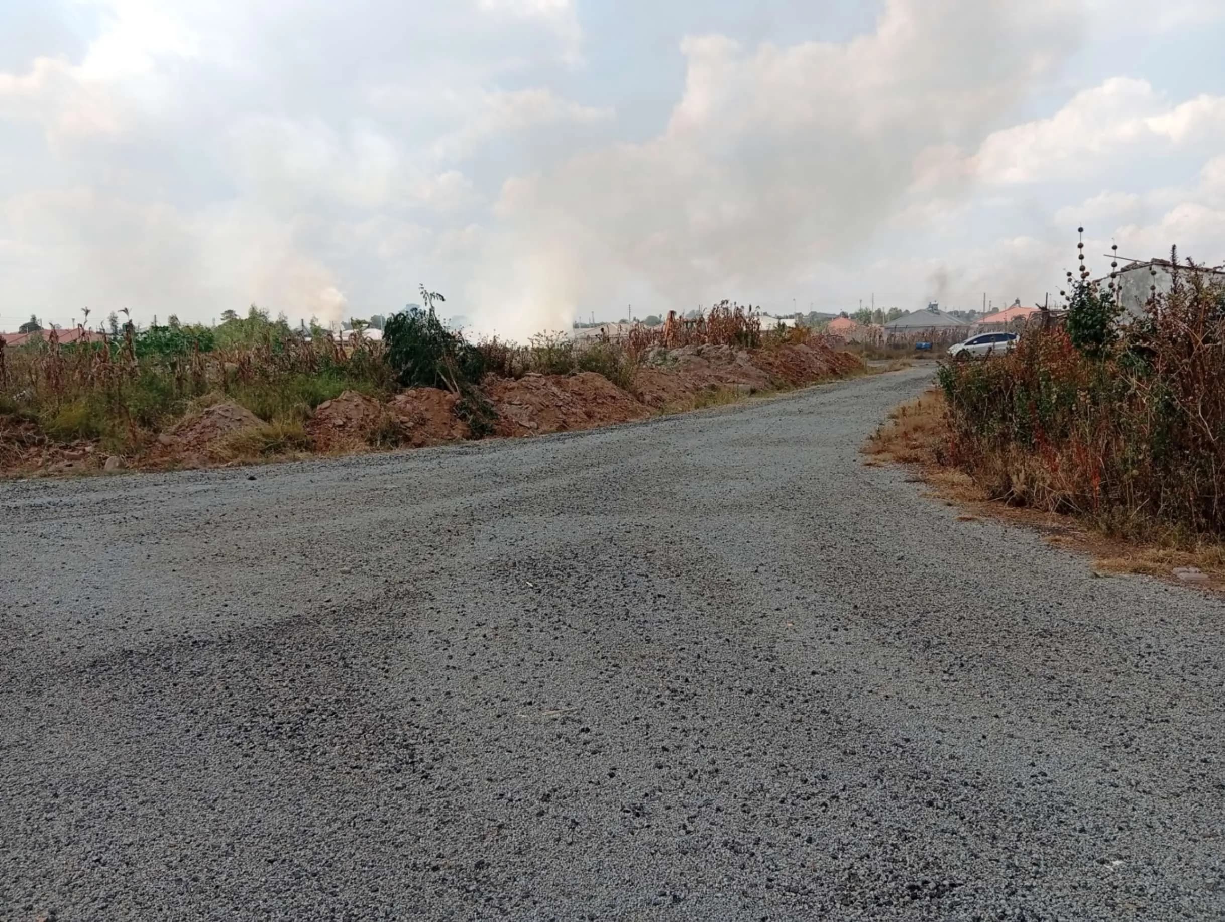 View 14