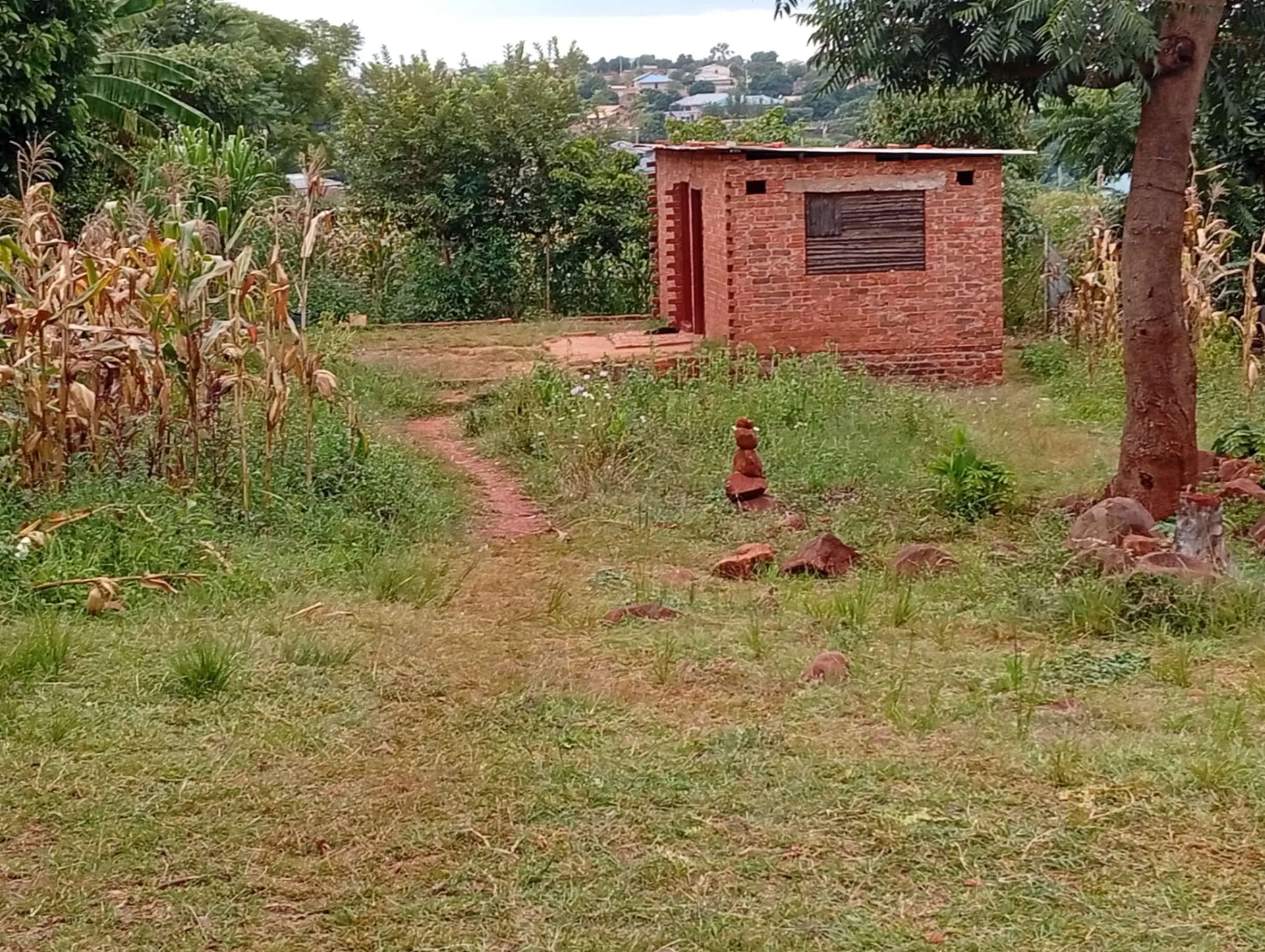 View 11