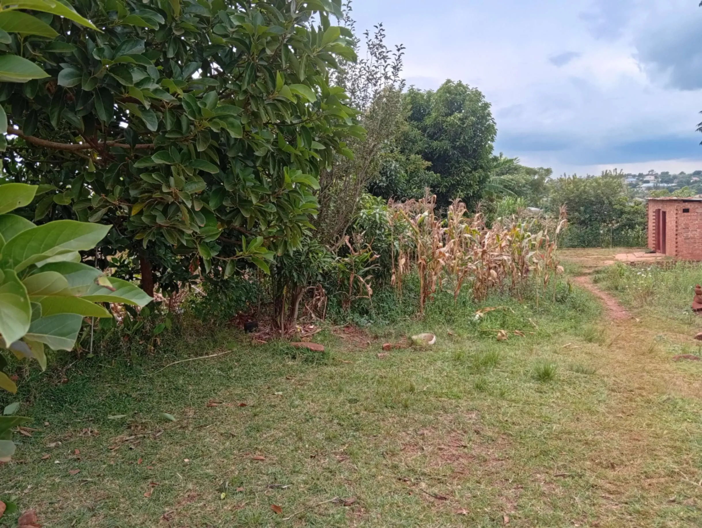 View 9