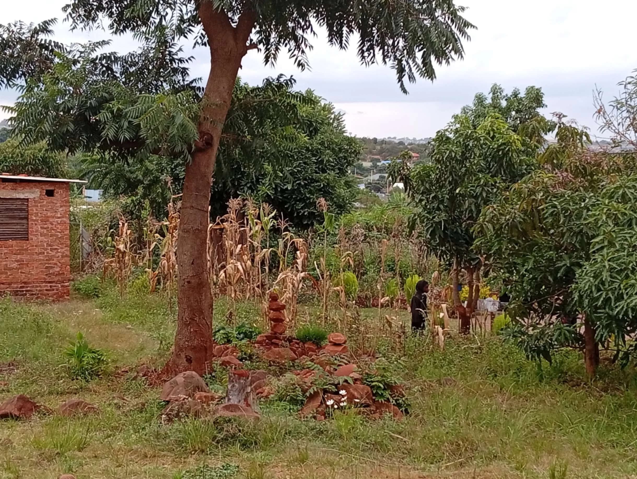 View 12