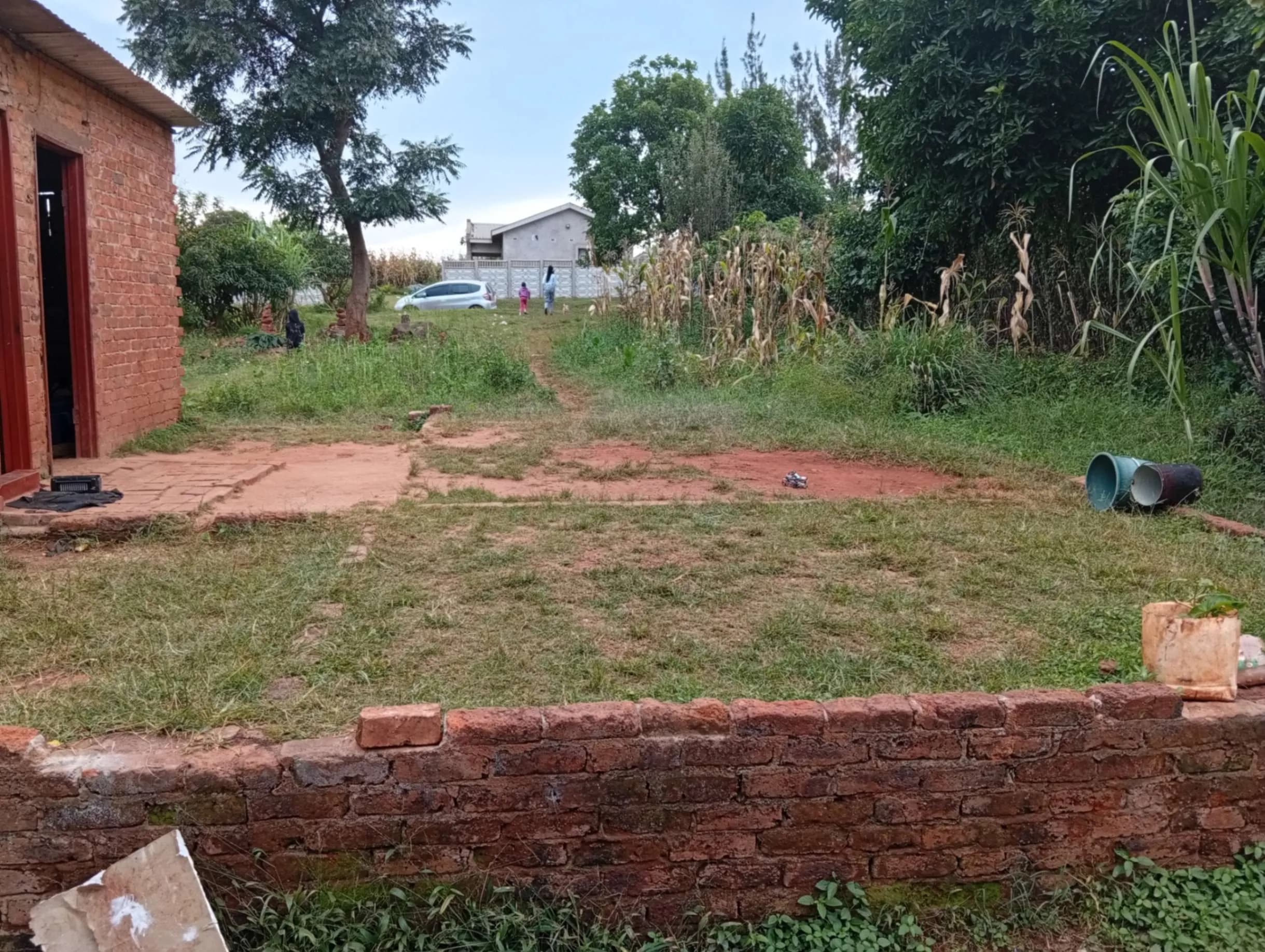 View 7