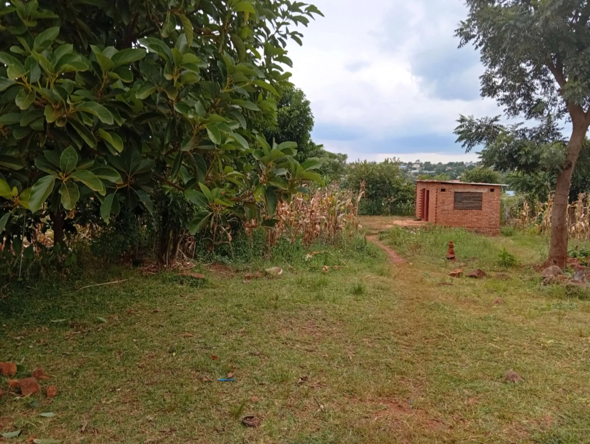View 10