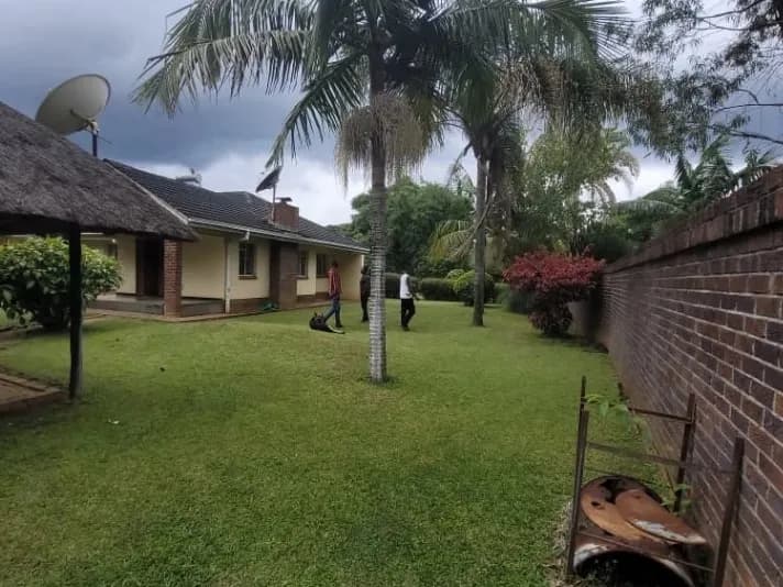 View 23