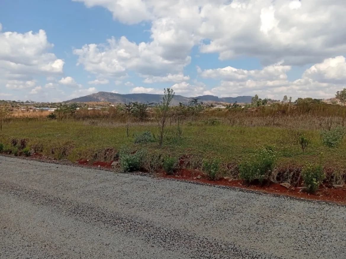 View 12