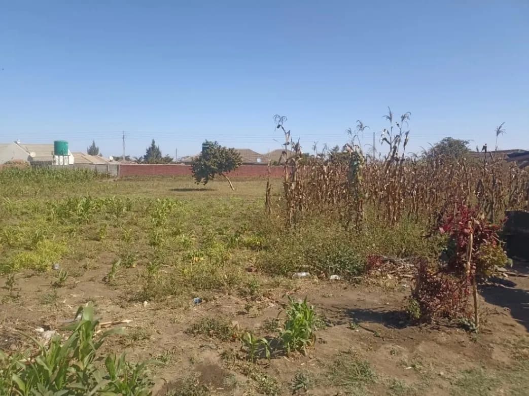 View 7