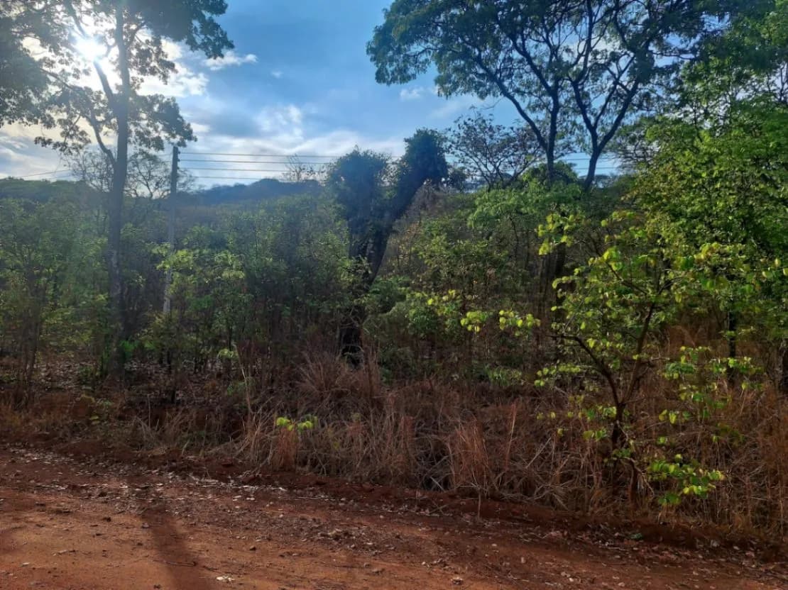 View 2