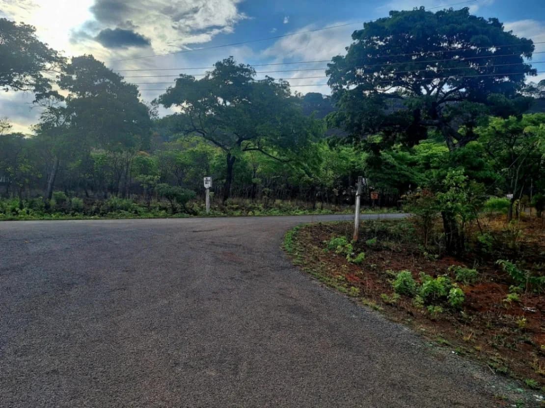 View 8