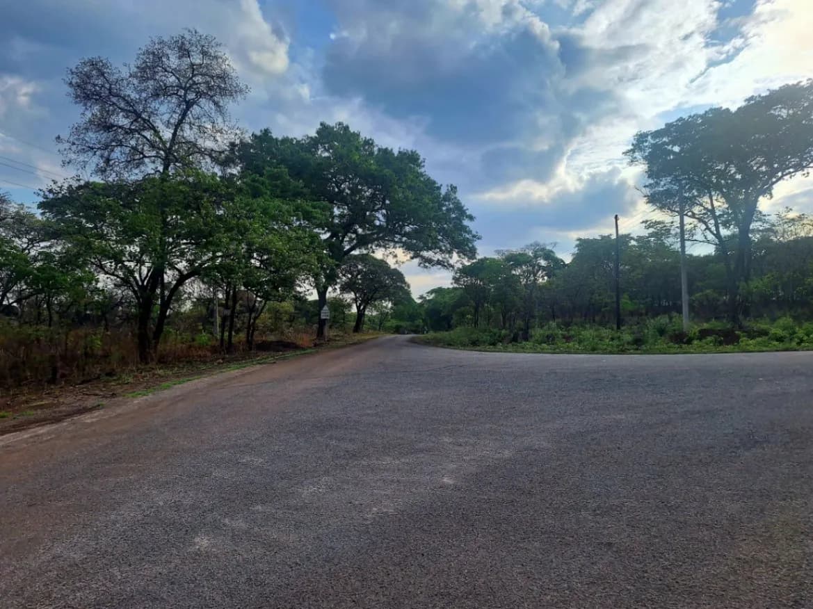 View 1