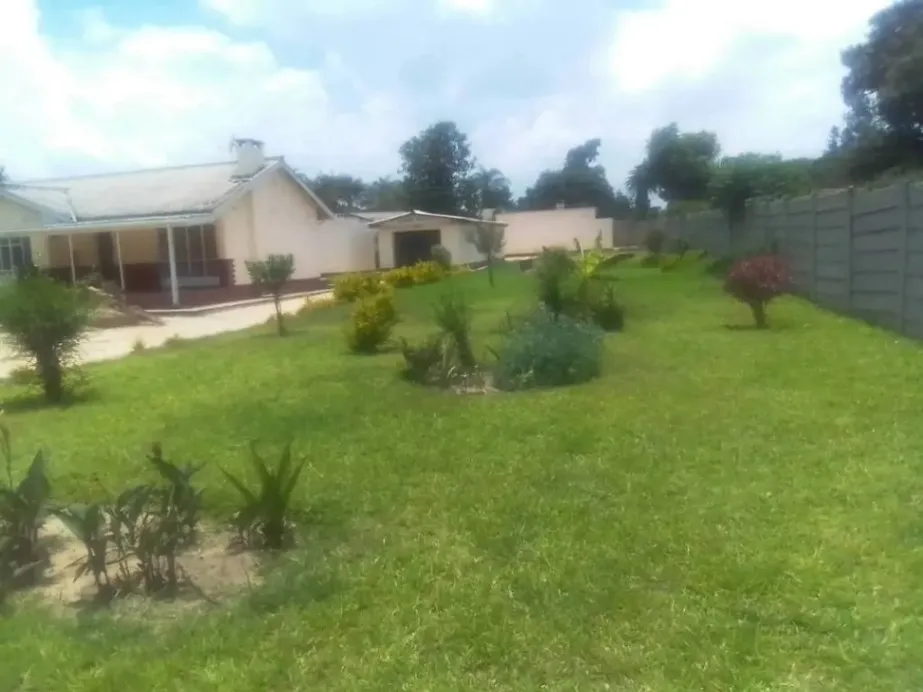 View 3