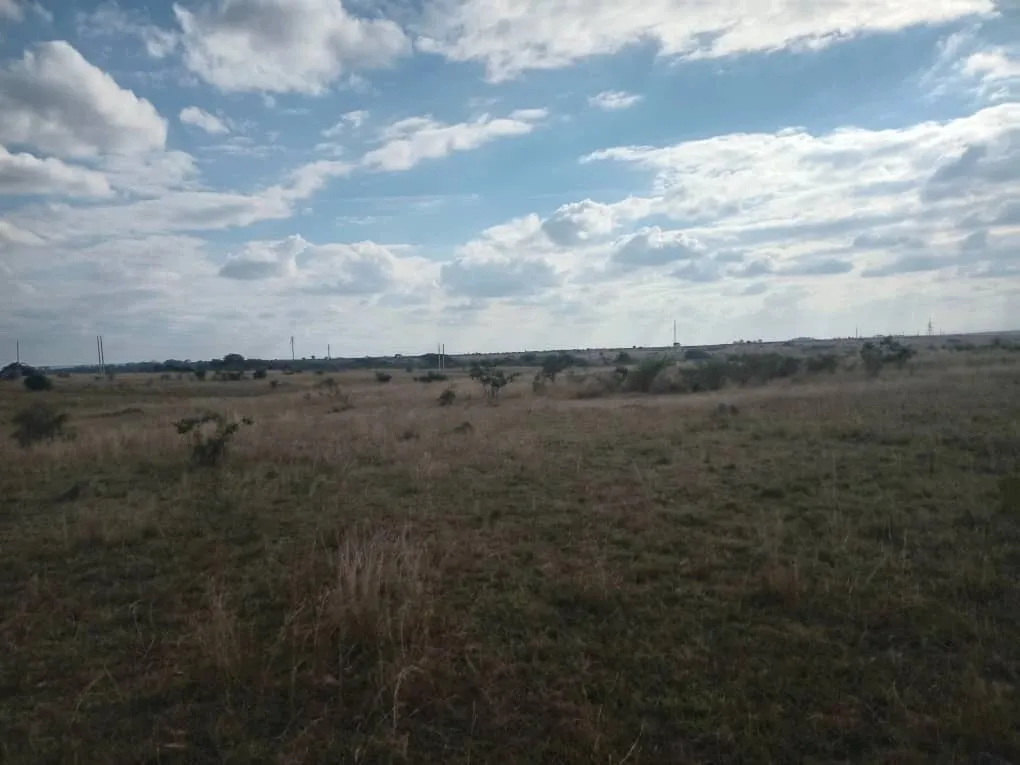 View 14