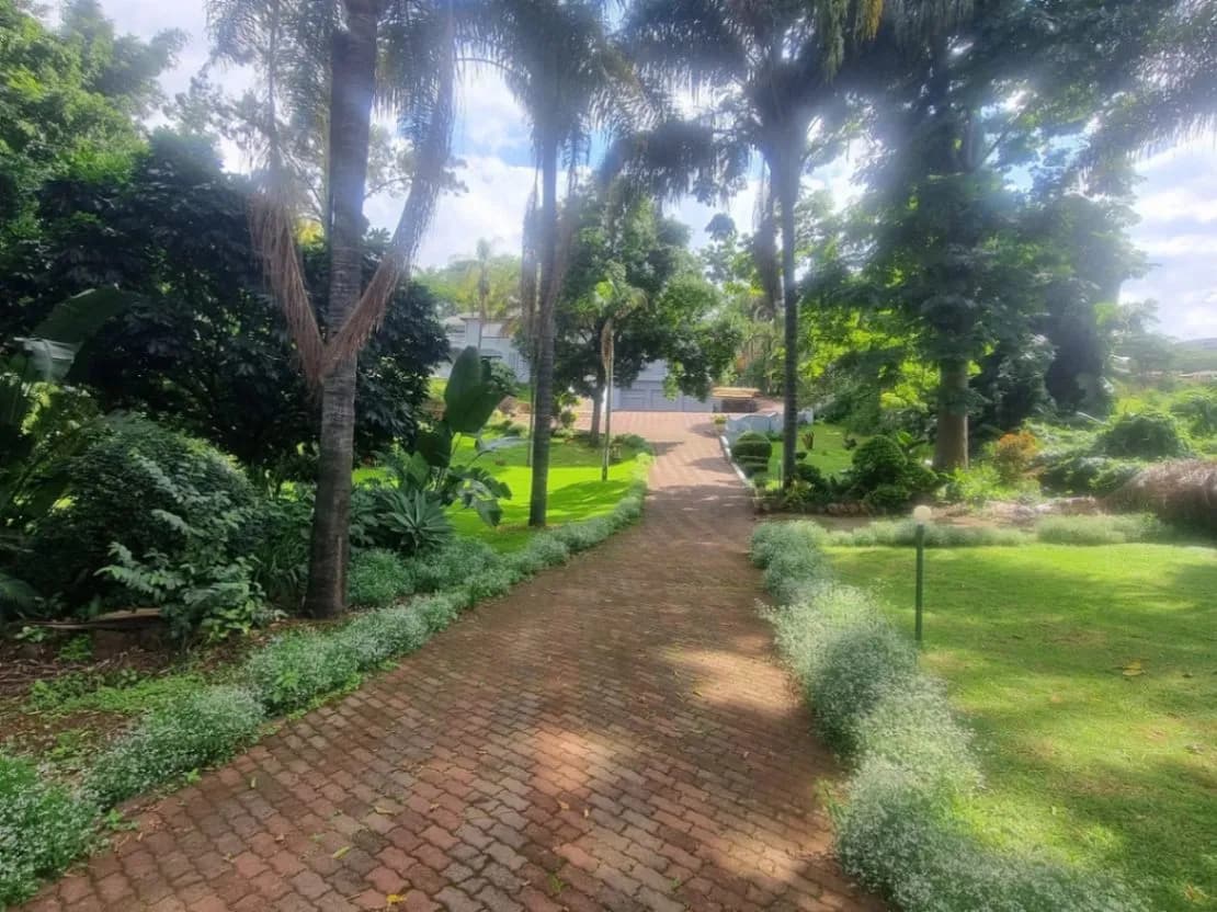 View 12