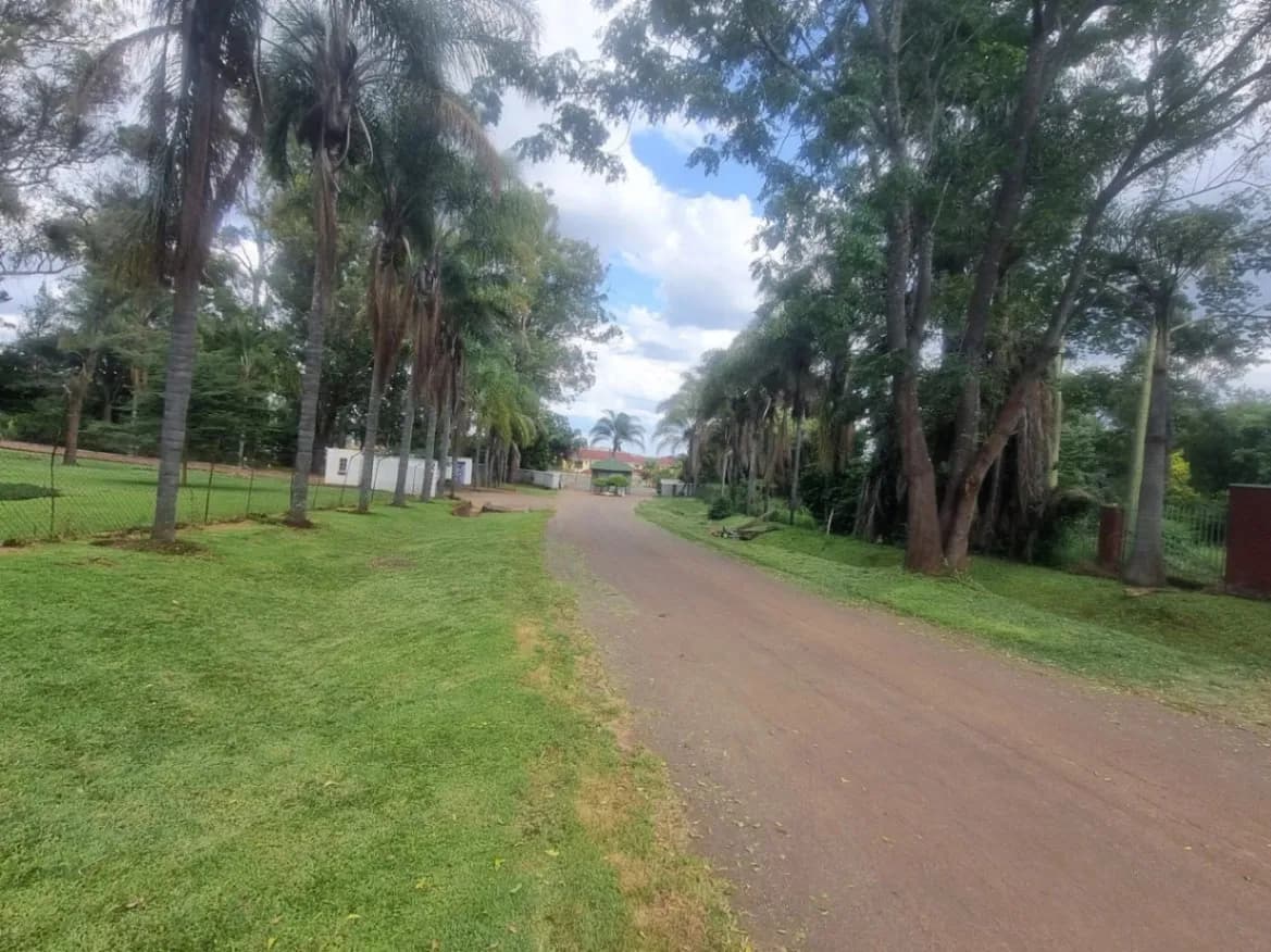 View 3