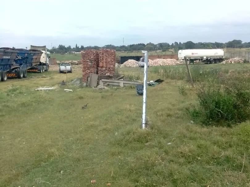 View 1