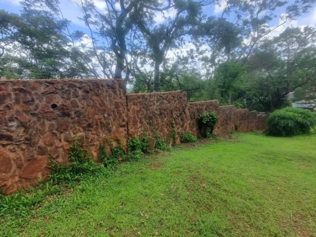View 15