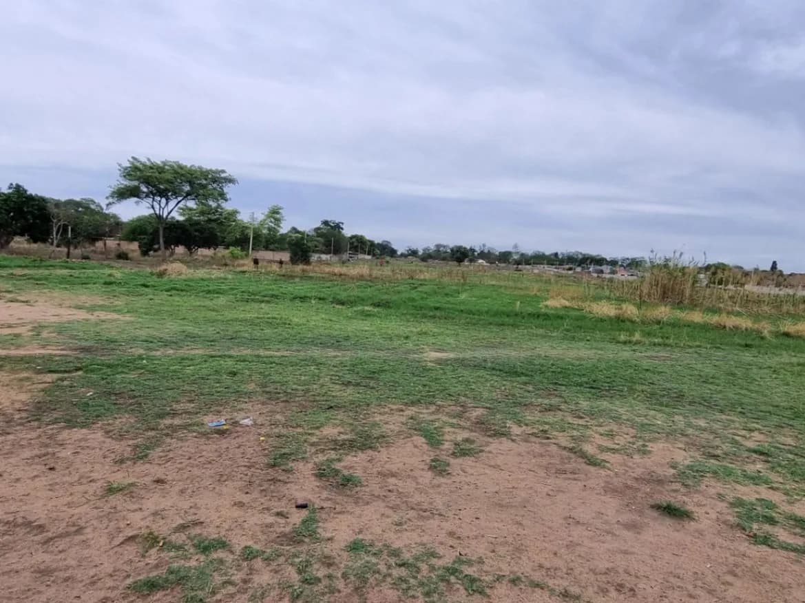 View 6