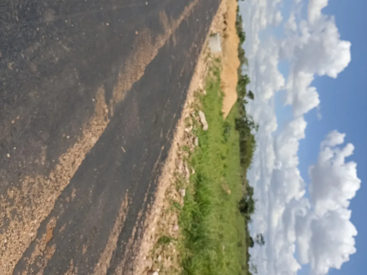 View 15