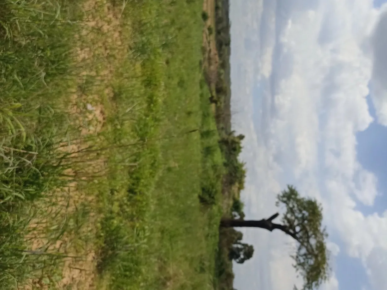 View 8