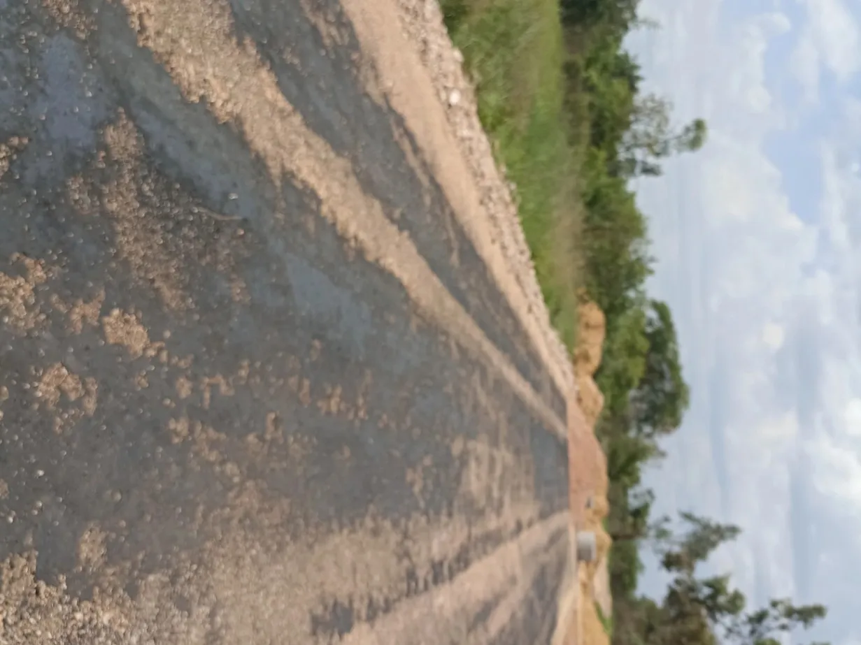 View 5