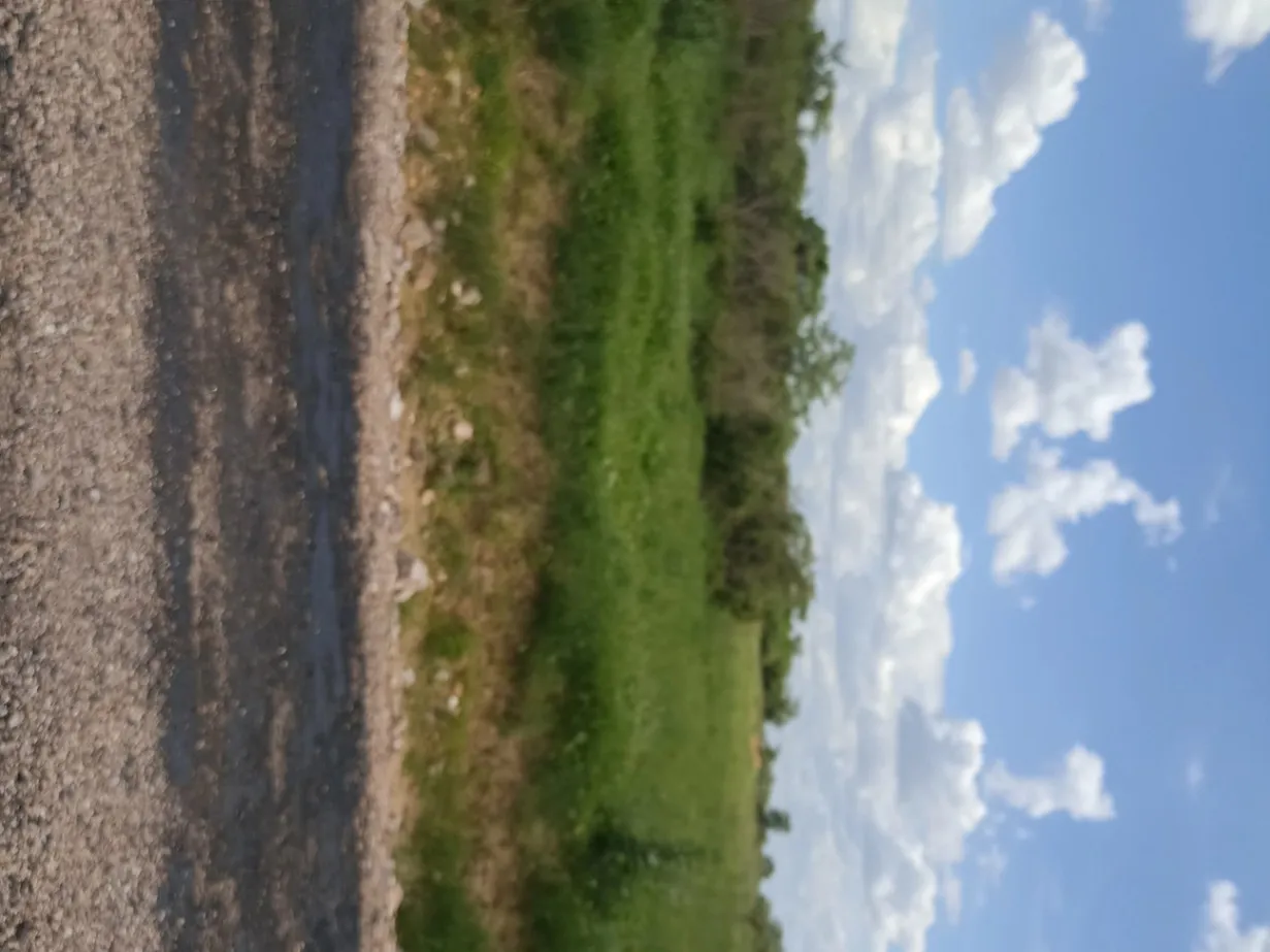 View 11