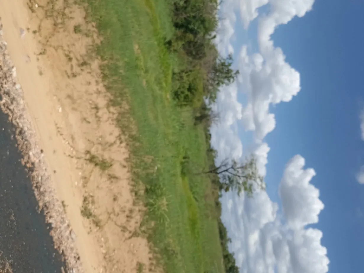 View 14