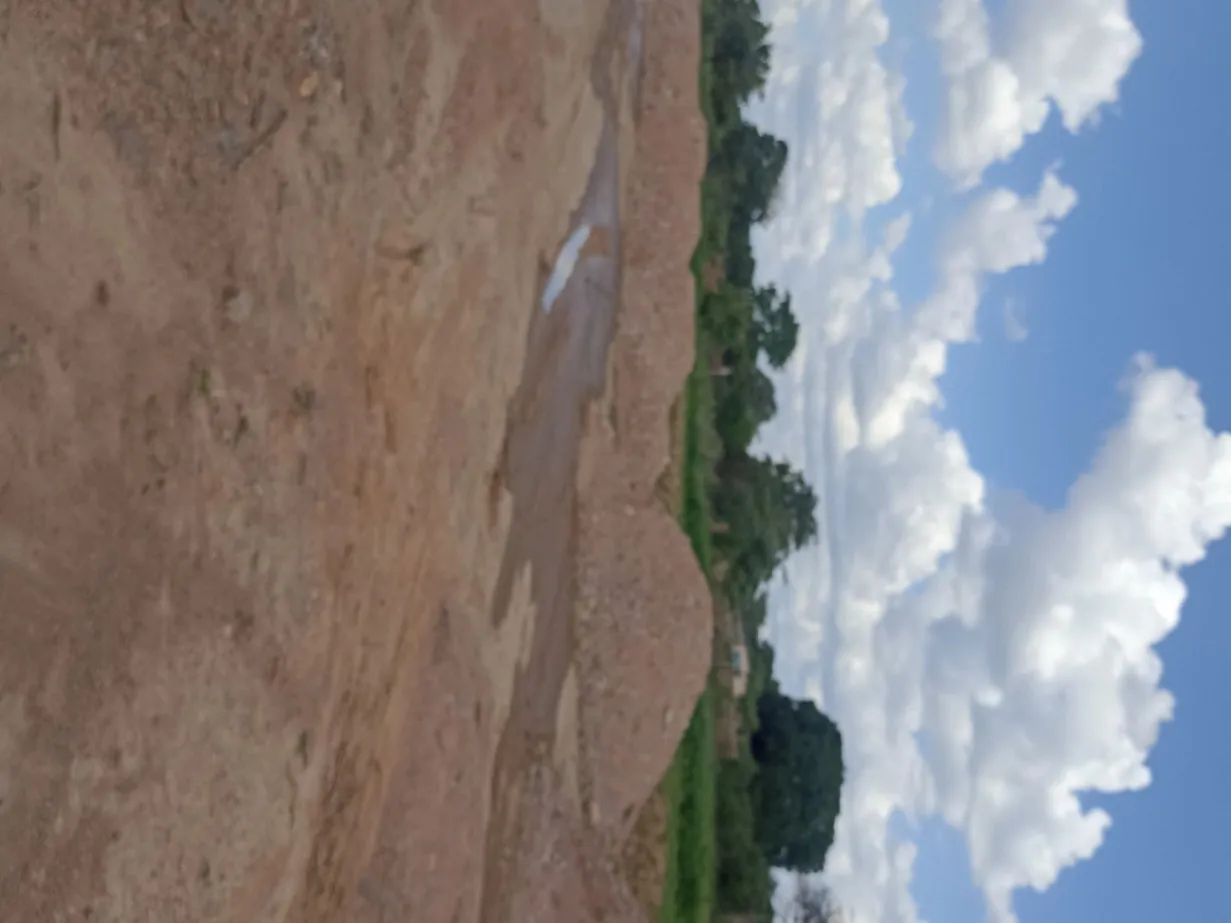 View 16