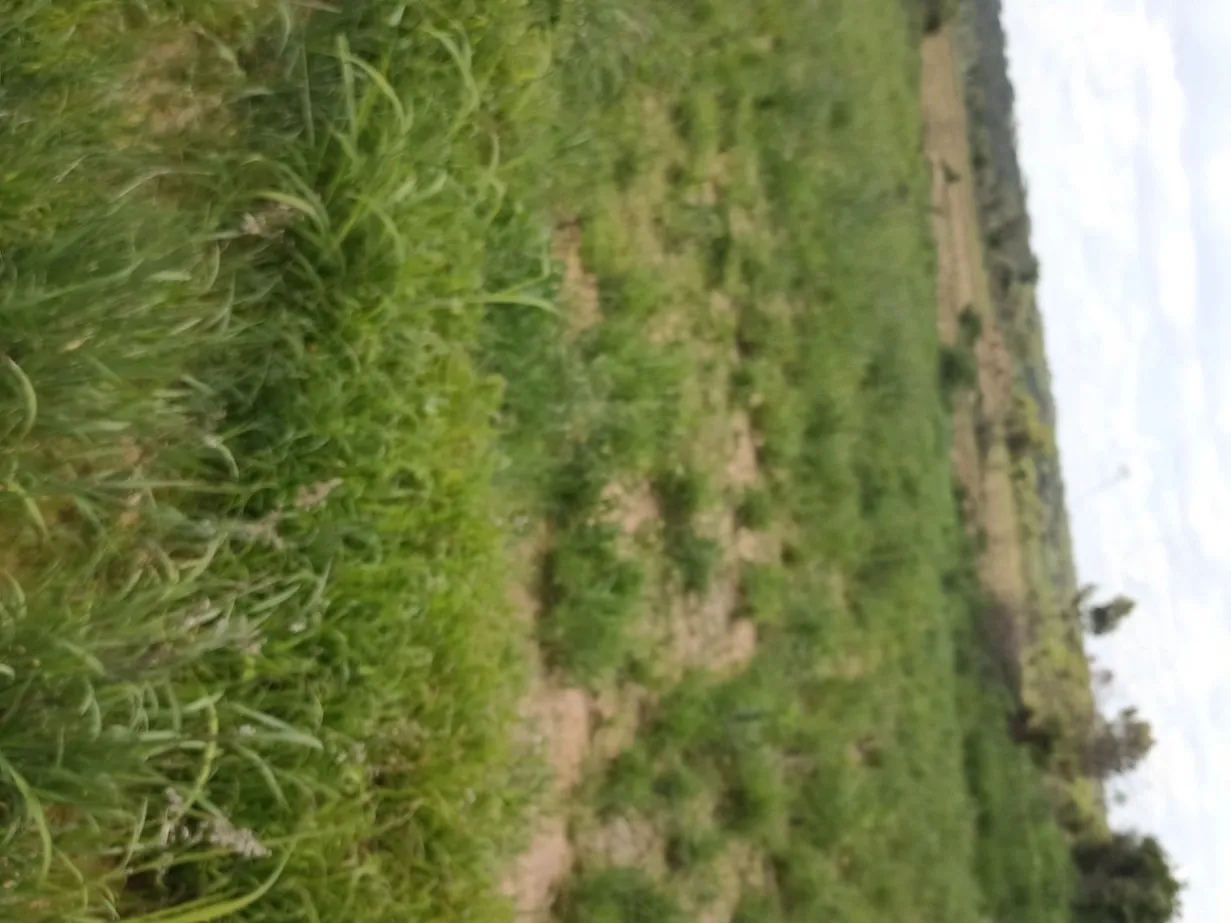 View 12