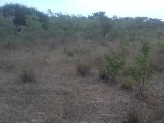 View 17