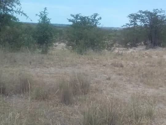 View 8