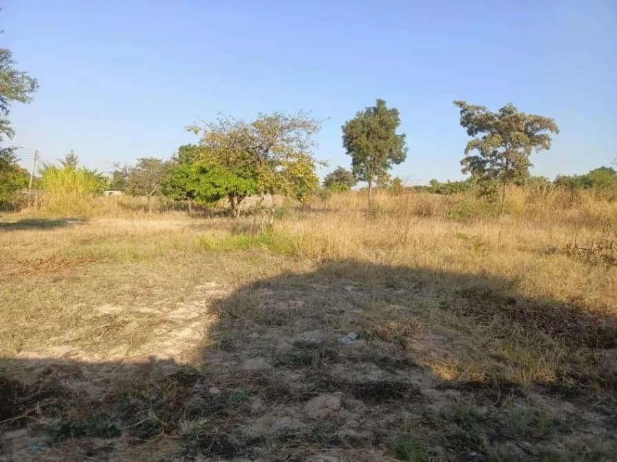 View 19