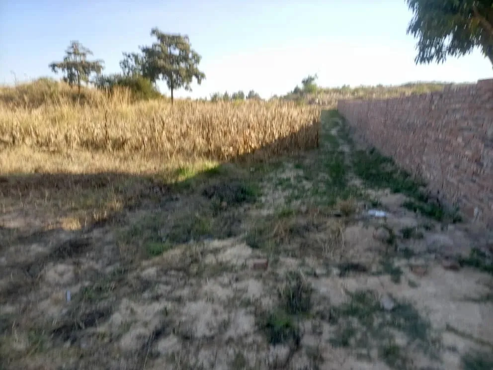 View 20