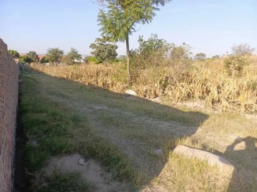 View 11