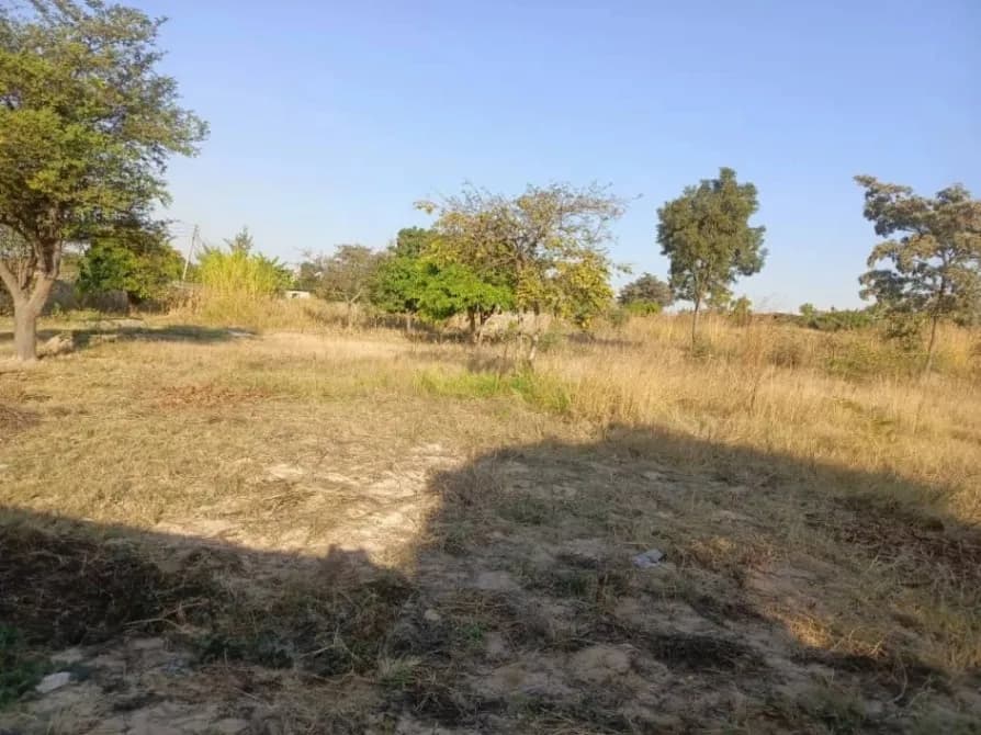 View 15