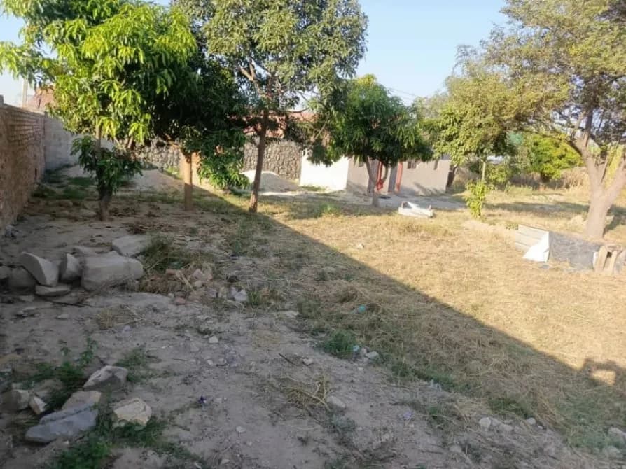 View 18