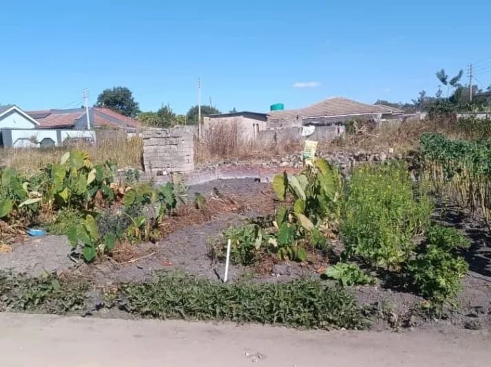 View 14