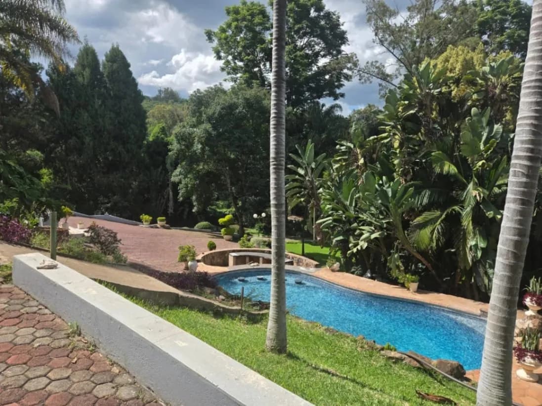 View 9