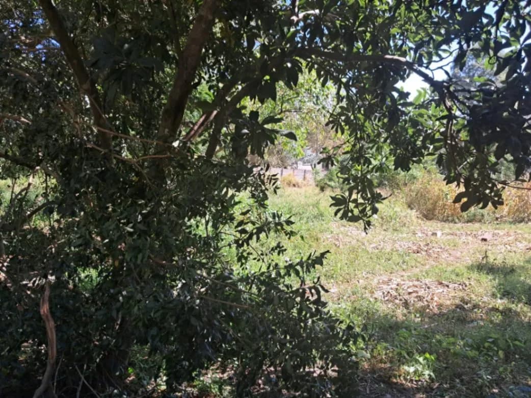 View 11