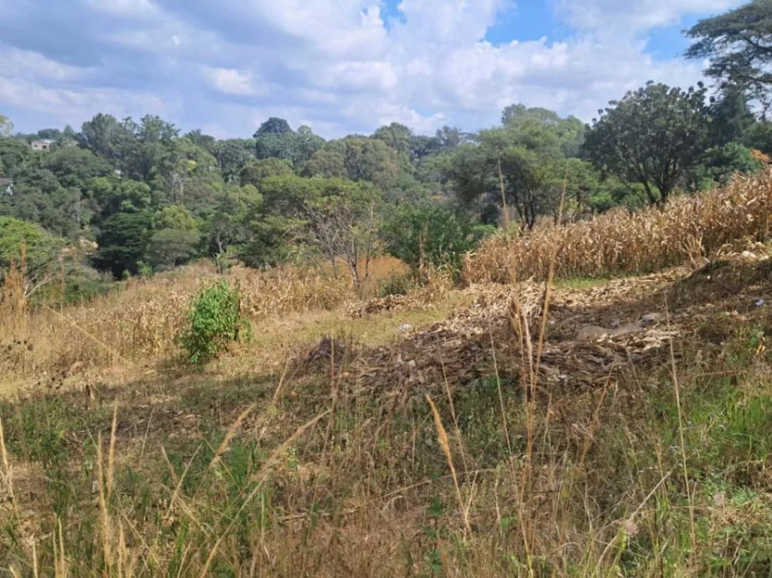 View 8