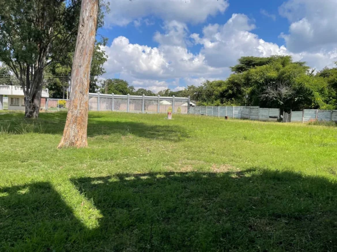 View 17