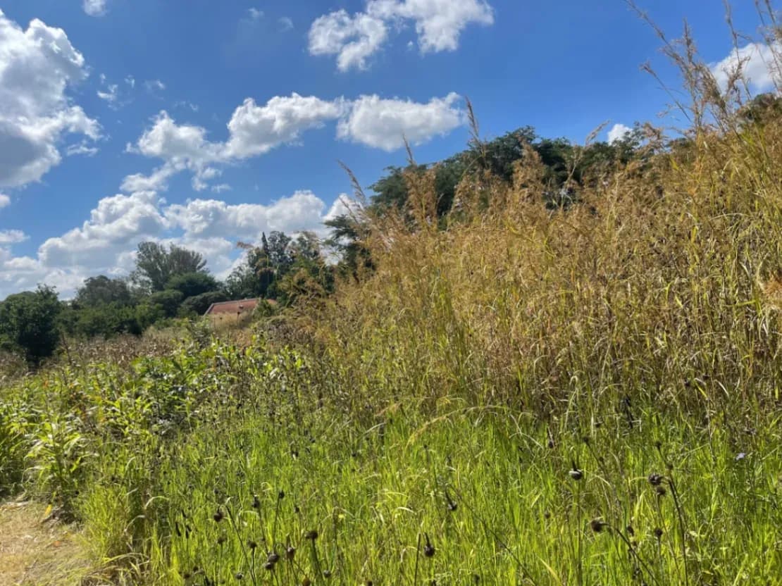 View 19