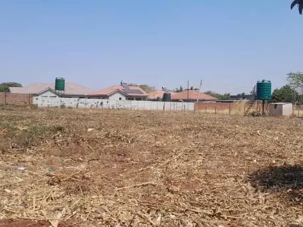 View 10
