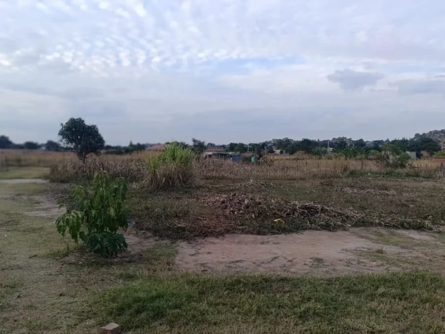 View 8