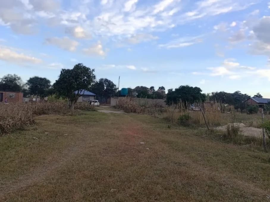 View 2